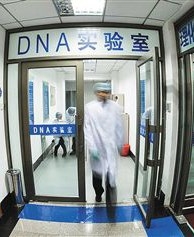 環境展示